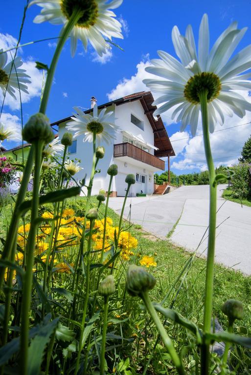 Apartment Bastaja Slunj Exteriér fotografie